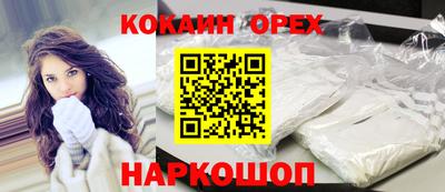 бошки Тара